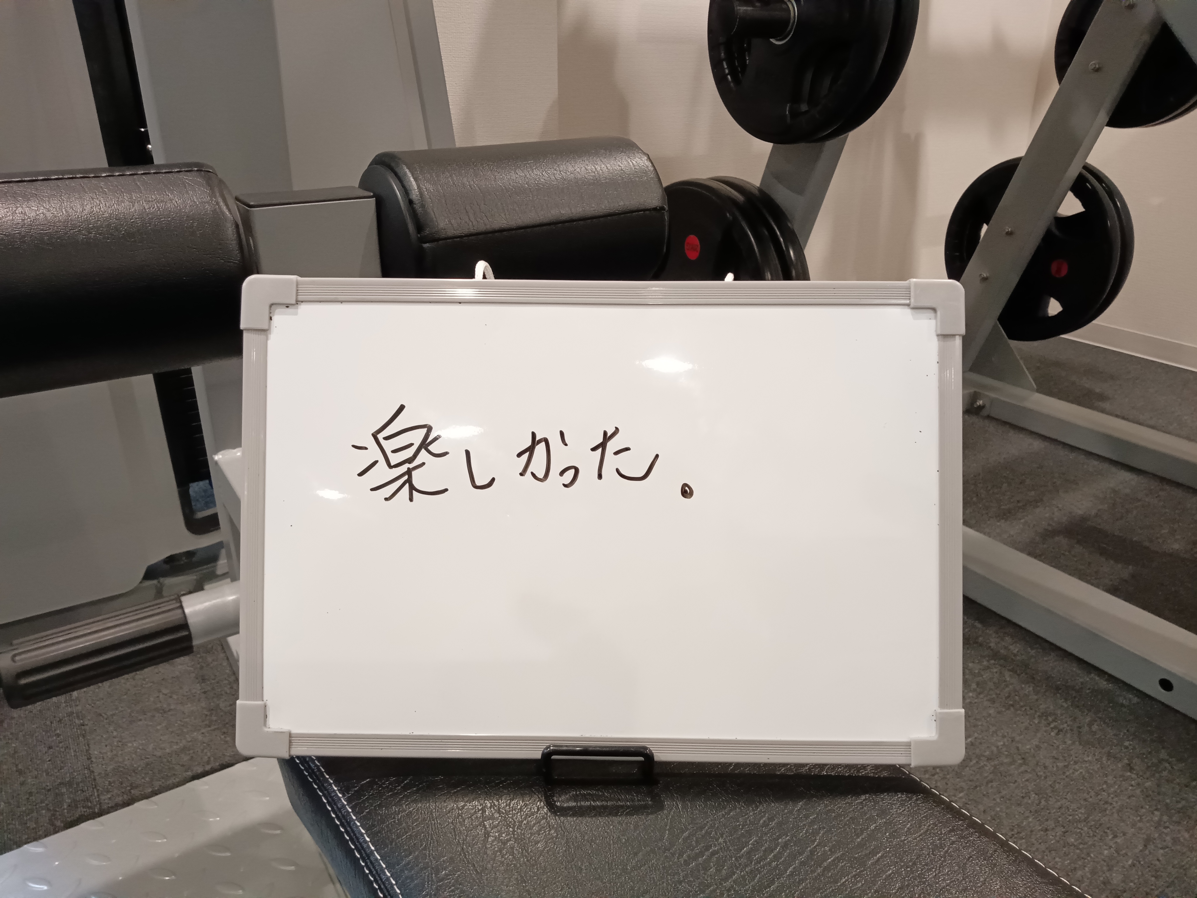 sample
